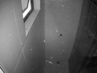 voyeurcam-casa-salsa-bathroom-13