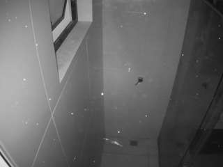  voyeurcam-casa-salsa-bathroom-13 chat room