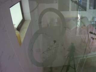 voyeurcam-casa-salsa-bathroom-13