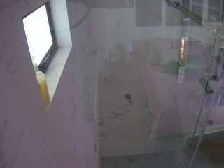 voyeurcam casa salsa bathroom 13