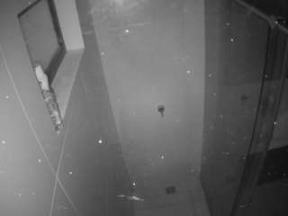 voyeurcam-casa-salsa-bathroom-13