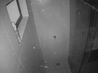 voyeurcam-casa-salsa-bathroom-13