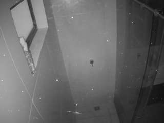 voyeurcam-casa-salsa-bathroom-13
