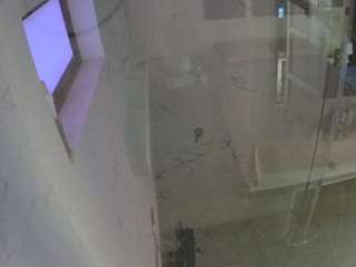 voyeurcam-casa-salsa-bathroom-13