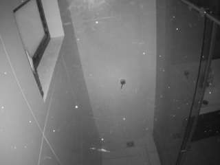 voyeurcam-casa-salsa-bathroom-13