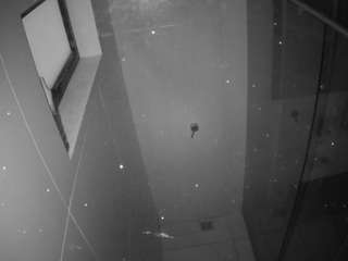 voyeurcam-casa-salsa-bathroom-13