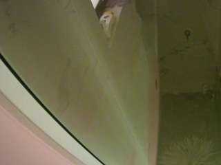 voyeurcam casa salsa bathroom 13 live webcam show