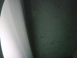 voyeurcam casa salsa bathroom 8