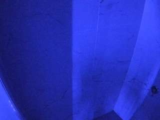 voyeurcam-casa-salsa-bathroom-8 live cam profile