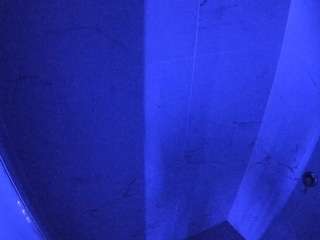 voyeurcam-casa-salsa-bathroom-8 Profile Image