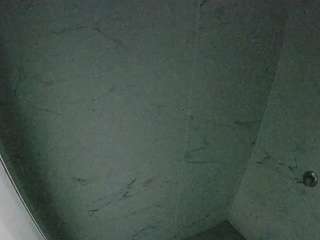 voyeurcam-casa-salsa-bathroom-8