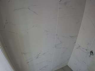 Live stream of voyeurcam-casa-salsa-bathroom-8