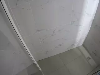 voyeurcam-casa-salsa-bathroom-8's Live Sex Cam Show