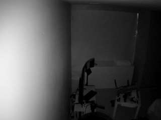 voyeurcam casa salsa bedroom 12