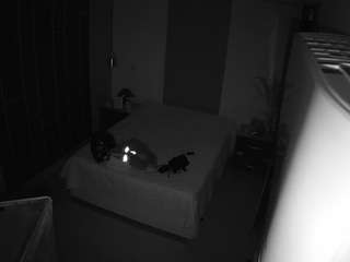 voyeurcam-casa-salsa-bedroom-8