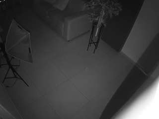 voyeurcam-casa-s... Live Webcam on CamSoda