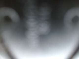 jhuliaHillss
