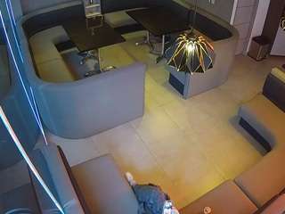 voyeurcam jb dining
