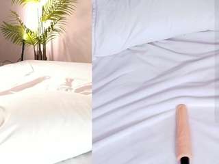 shynieblush webcam