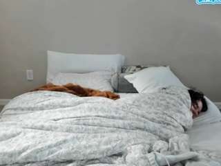 creamyricanfountain webcam