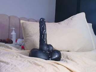 sofia-dkr webcam model