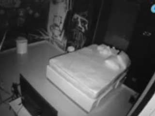 voyeurcam-casa-salsa-disturbed