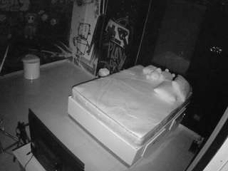 voyeurcam-casa-salsa-disturbed