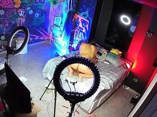 voyeurcam-casa-salsa-disturbed