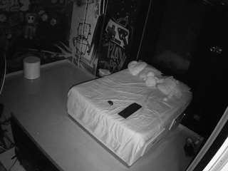 voyeurcam-casa-salsa-disturbed