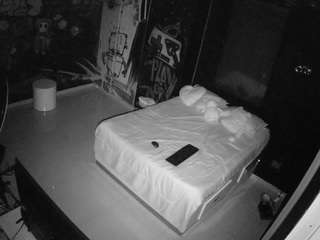 voyeurcam-casa-salsa-disturbed