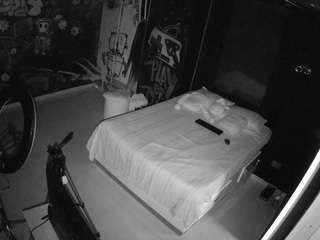 voyeurcam-casa-salsa-disturbed