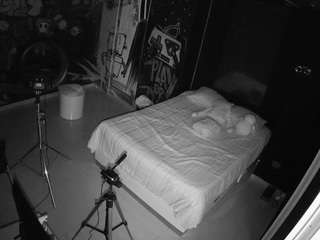 voyeurcam-casa-salsa-disturbed