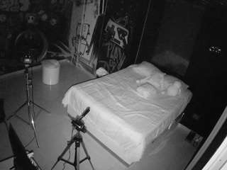 voyeurcam-casa-salsa-disturbed