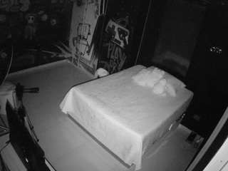 voyeurcam-casa-salsa-disturbed