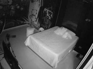 voyeurcam-casa-salsa-disturbed