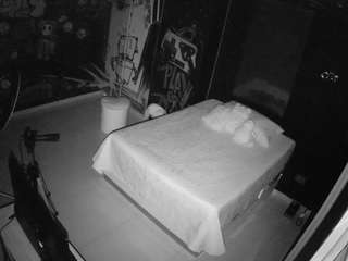 voyeurcam-casa-salsa-disturbed