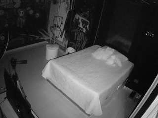 voyeurcam-casa-salsa-disturbed