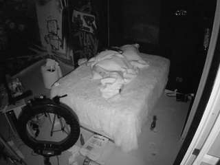 voyeurcam-casa-salsa-disturbed