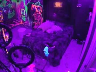 voyeurcam-casa-salsa-disturbed