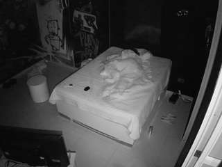voyeurcam-casa-salsa-disturbed