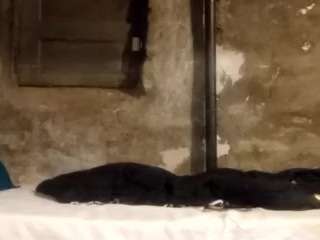 cesar5684marquez live webcam show