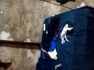 cesar5684marquez's live room