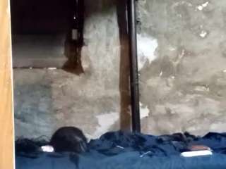 Hotmex4you live cam preview