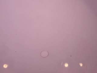 le modèle estef-love est en webcam porno dans un show sur le site camsoda, il possède les tags suivants: ahegao,blowjob,young adult,toys,thin,teen 18,tattoos,striptease,red hair,petite,no smoking,lovense,fingering,facial piercings,drinking,dirty talk,camel toe,brown eyes,body massage,curvy