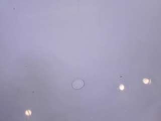 estef-love webcam