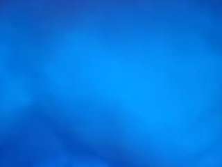 calvincums4you webcam