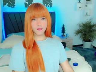 tommyduchannes webcam