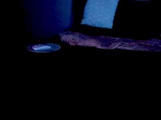 yiaunaniree webcam