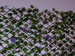 emiily-cutte webcam model