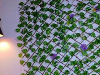 emiily-cutte Live Webcam on CamSoda